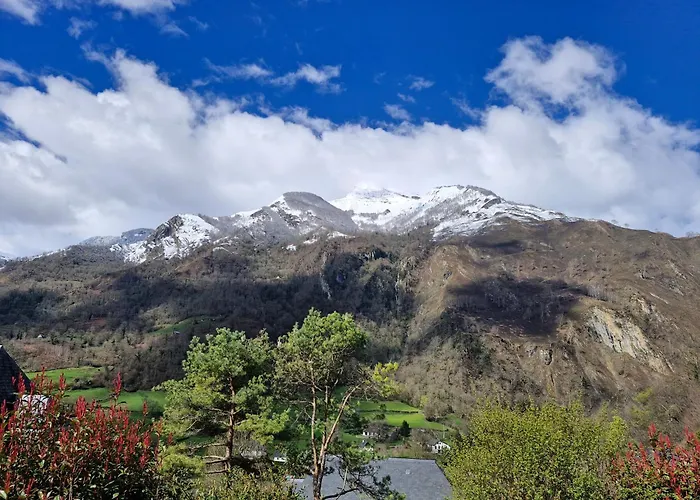 Les Hauts De * Louvie-Soubiron